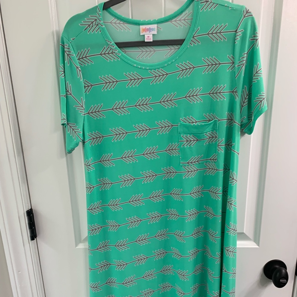 Nwot Lularoe medium Carly